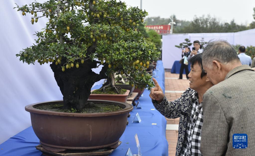集结号捕鱼每日回血